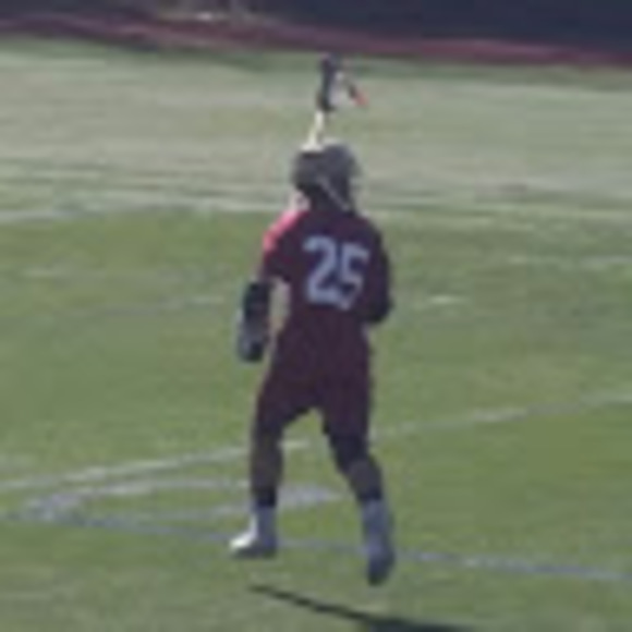 Meet your Posher, Rocco - Picture 1 of 1